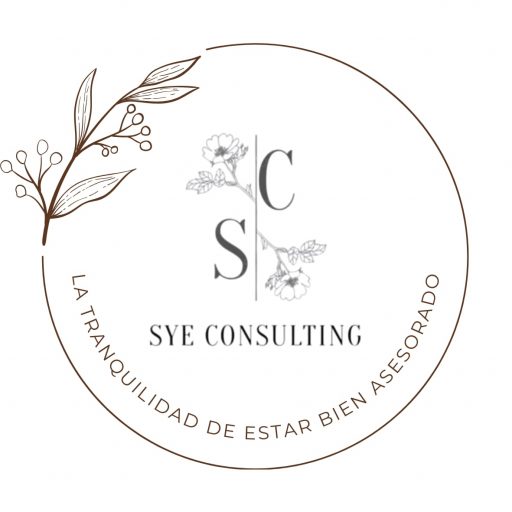 Logo SyE consulting | La tranquilidad de estar bien asesorado