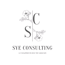 Logo SyE Consulting